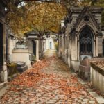 an old cemetery with leaves on the ground